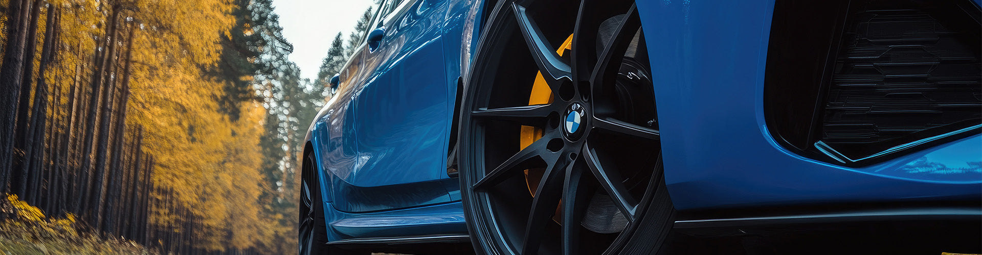 BMW_1_0e63c9d4-f8cf-4a67-afab-c033eeb85e0b