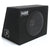 Audio System-HX 12 EVO G-12" (30cm) Gehäusesubwoofer-Masori.de