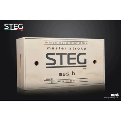 Steg-Masterstroke MSS6-6.5" (16,5cm) Tiefmitteltöner-Masori.de