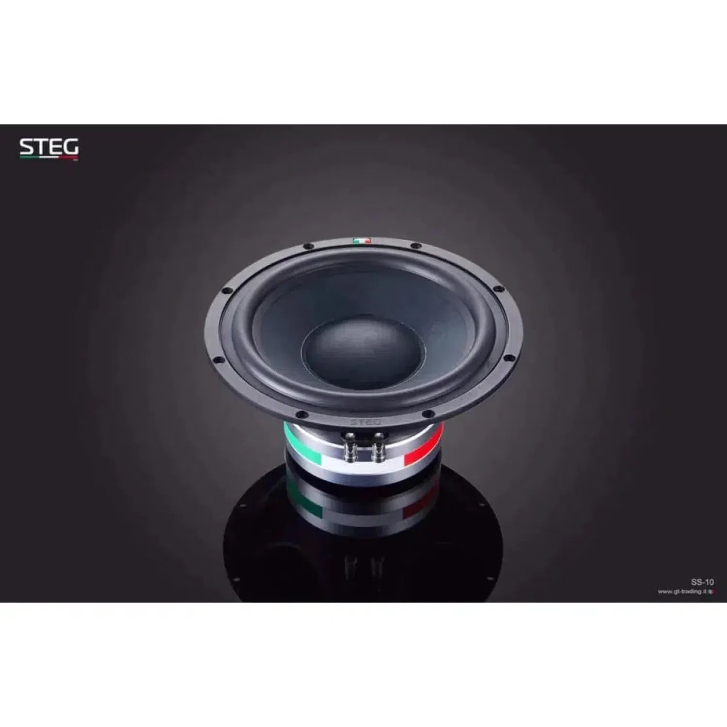 Steg-Masterstroke SS-10-10" (25cm) Subwoofer-masori-kaufen