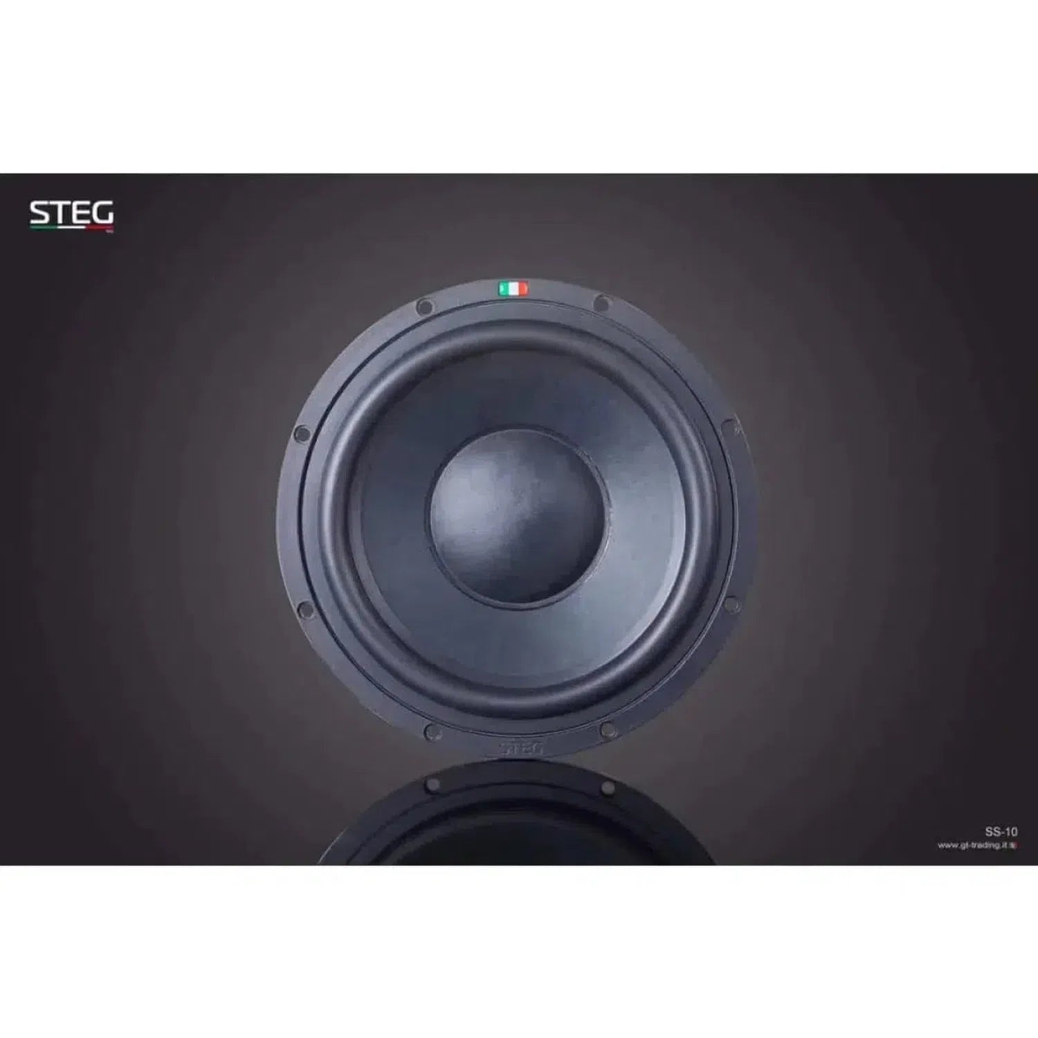 Steg-Masterstroke SS-10-10" (25cm) Subwoofer-masori-kaufen