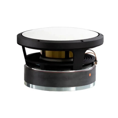 Accuton-AS250-6-552-10" (25cm) Subwoofer-masori-kaufen