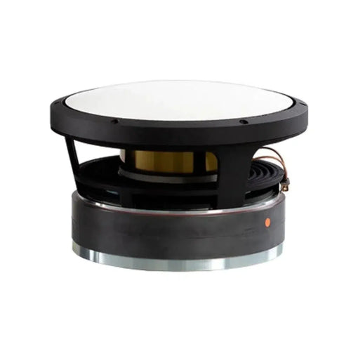 Accuton-AS250-6-552-10" (25cm) Subwoofer-masori-kaufen