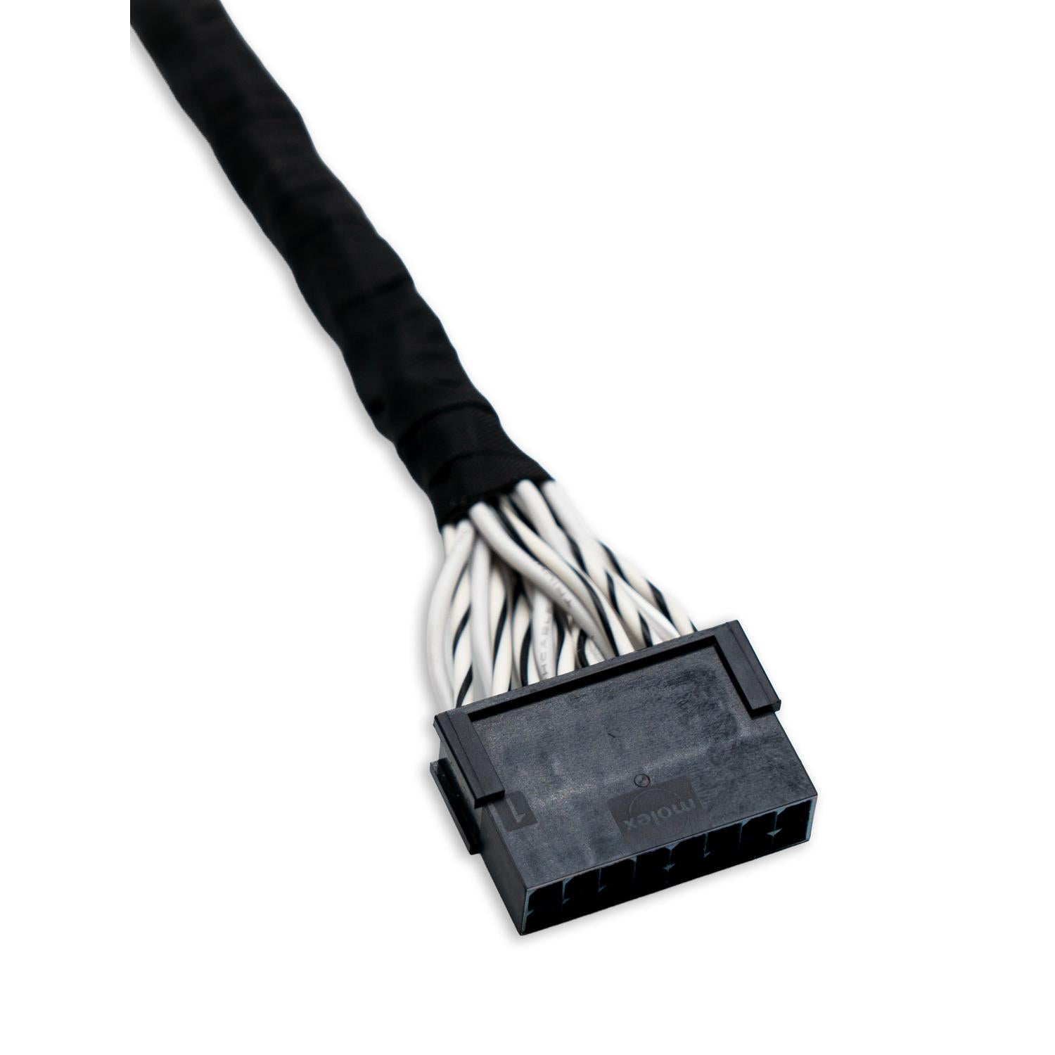 LAudison Prima AP BYPASS est un câble électrique multifilaire noir et blanc muni dun connecteur rectangulaire noir, représenté sur fond blanc.