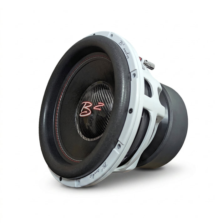 B2 Audio-Rage 12 V4 D2-12" (30cm) Subwoofer-masori-kaufen