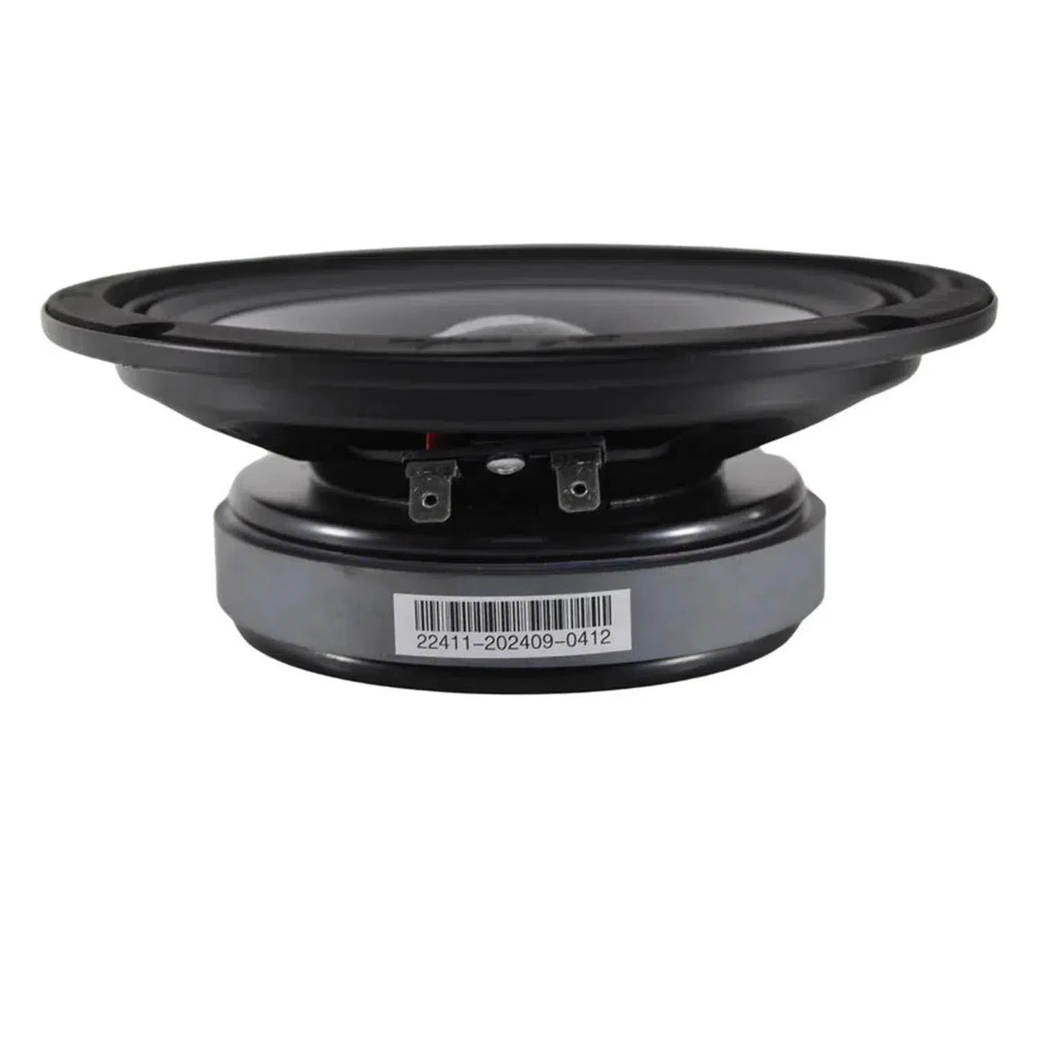 B2 Audio-Rage 6 CFM-6.5" (16,5cm) Tiefmitteltöner-masori-kaufen