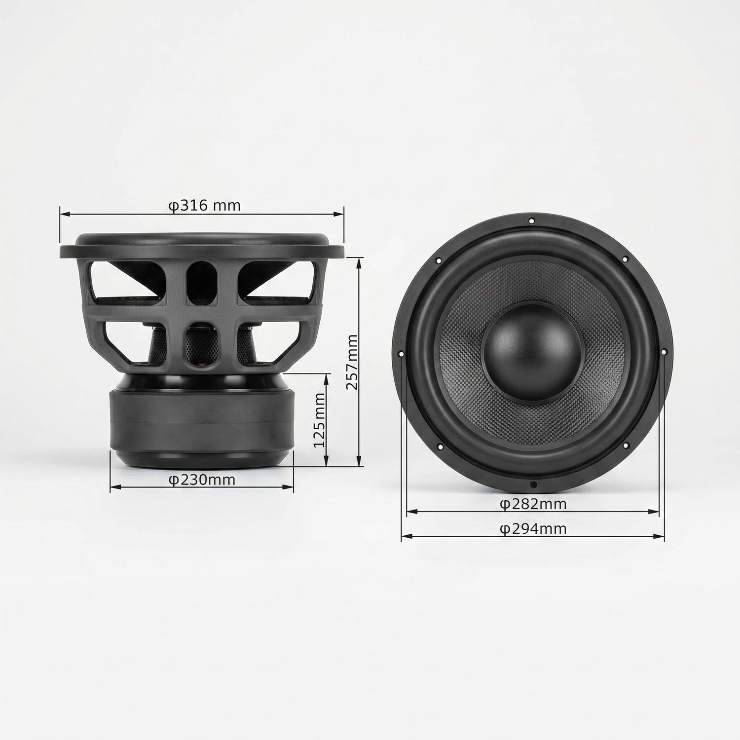 B2 Audio-Rage XL 12 V2 Carbon-12" (30cm) Subwoofer-masori-kaufen