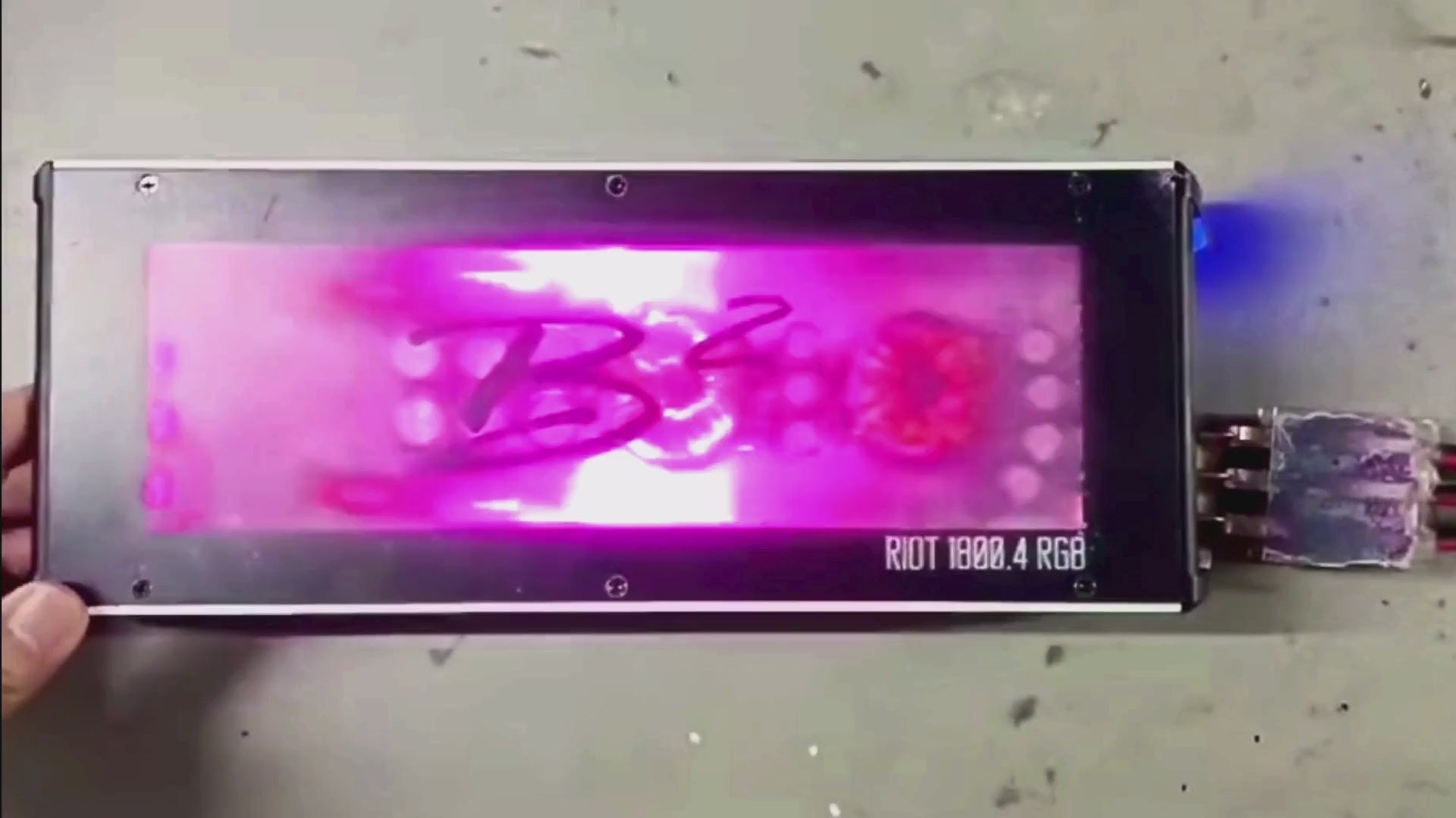 B2 Audio-Riot 2500.1RGB-1-Kanal Verstärker-masori-kaufen
