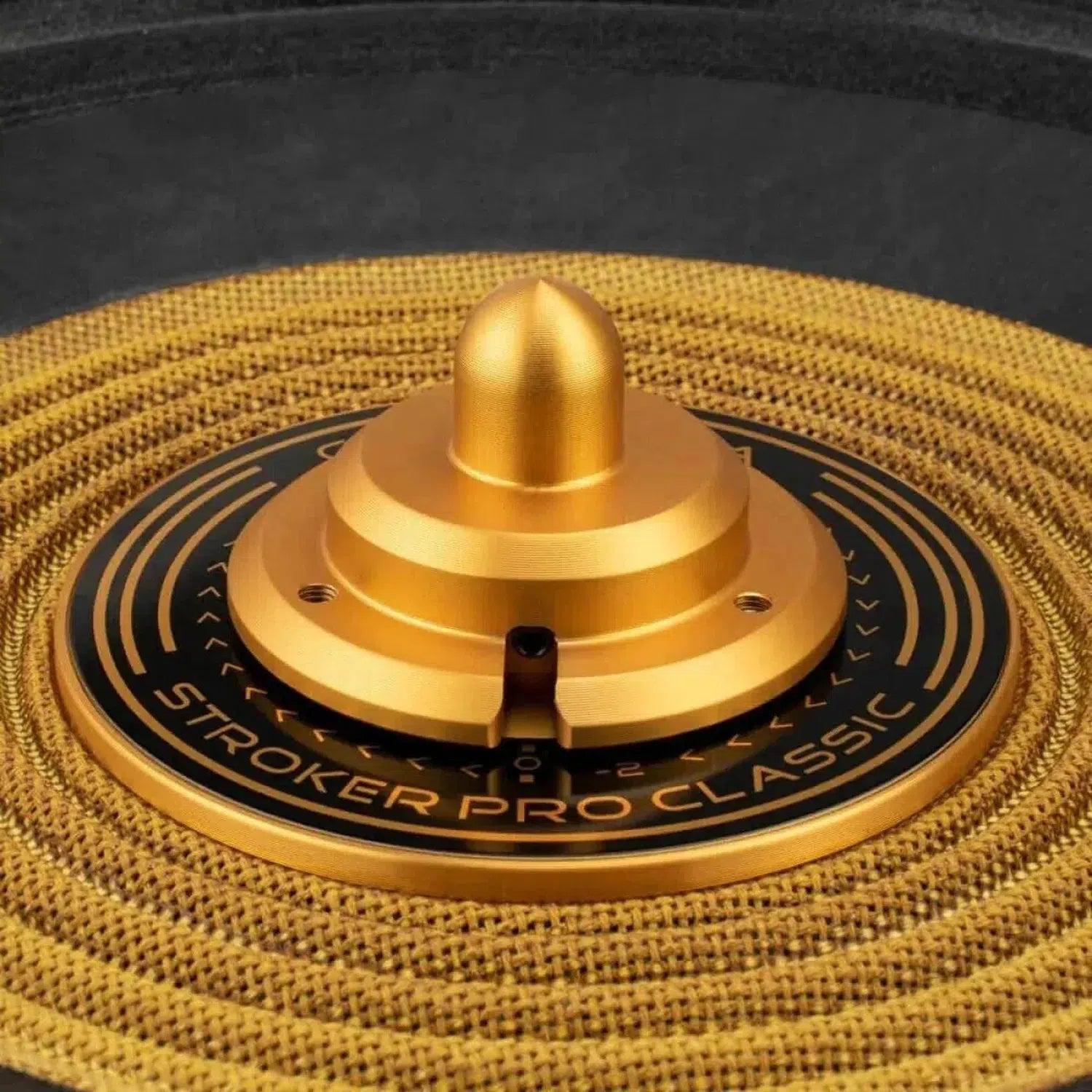 Close-up van een Cerwin Vega Stroker Pro Classic SPCL182 18 subwoofer met een centrale conus en gestructureerde ringen.