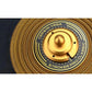 Close-up van een gouden Cerwin Vega Stroker Pro Classic SPCL182 18-inch subwoofer, waarbij de gedetailleerde tekst en het kenmerkende concentrische ringontwerp op de conus goed te zien zijn.