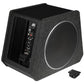 ESX-Vision V800A (B-Ware)-8" (20cm) Aktiv-Gehäusesubwoofer-masori-kaufen