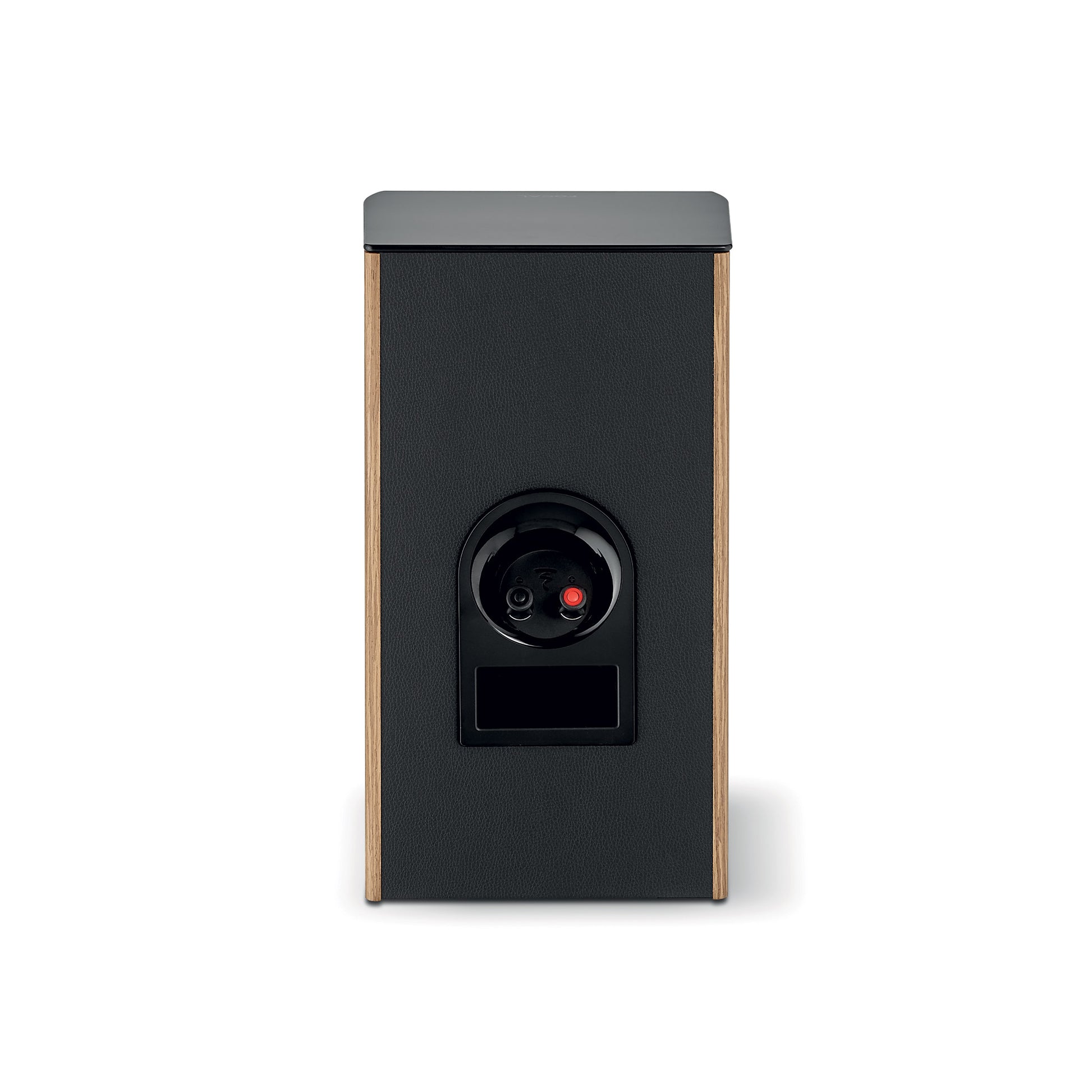 Rückansicht des Focal ARIA EVO X N°1 Lautsprechers mit Audio-Eingangsanschlüssen und einem rechteckigen Anschluss, dargestellt vor einem weißen Hintergrund.