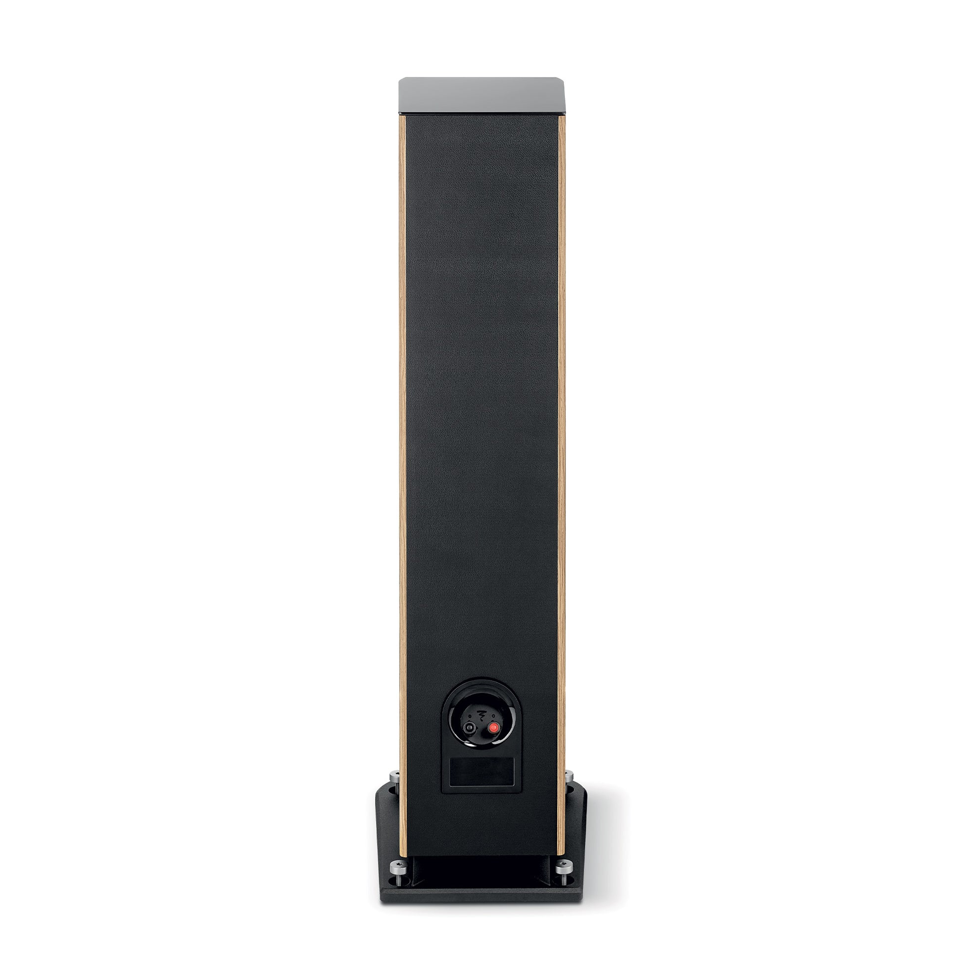 Il Focal ARIA EVO X N°2 è un diffusore Hi-Fi alto e rettangolare con il retro nero, i lati in legno e un pannello di ingresso circolare vicino alla parte inferiore.