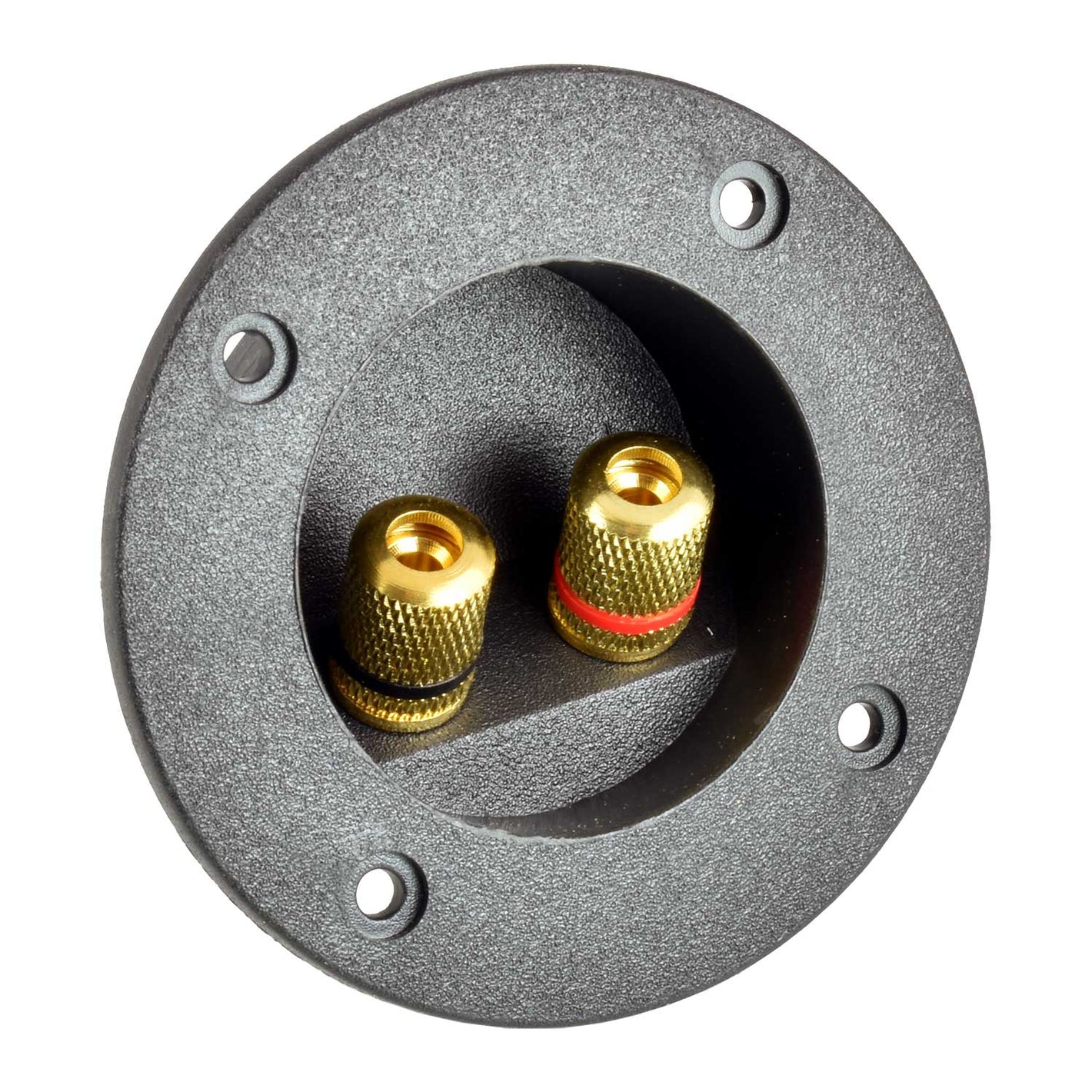 Four Connect-2-Pol Lautsprecherterminal-Lautsprecherterminal-masori-kaufen