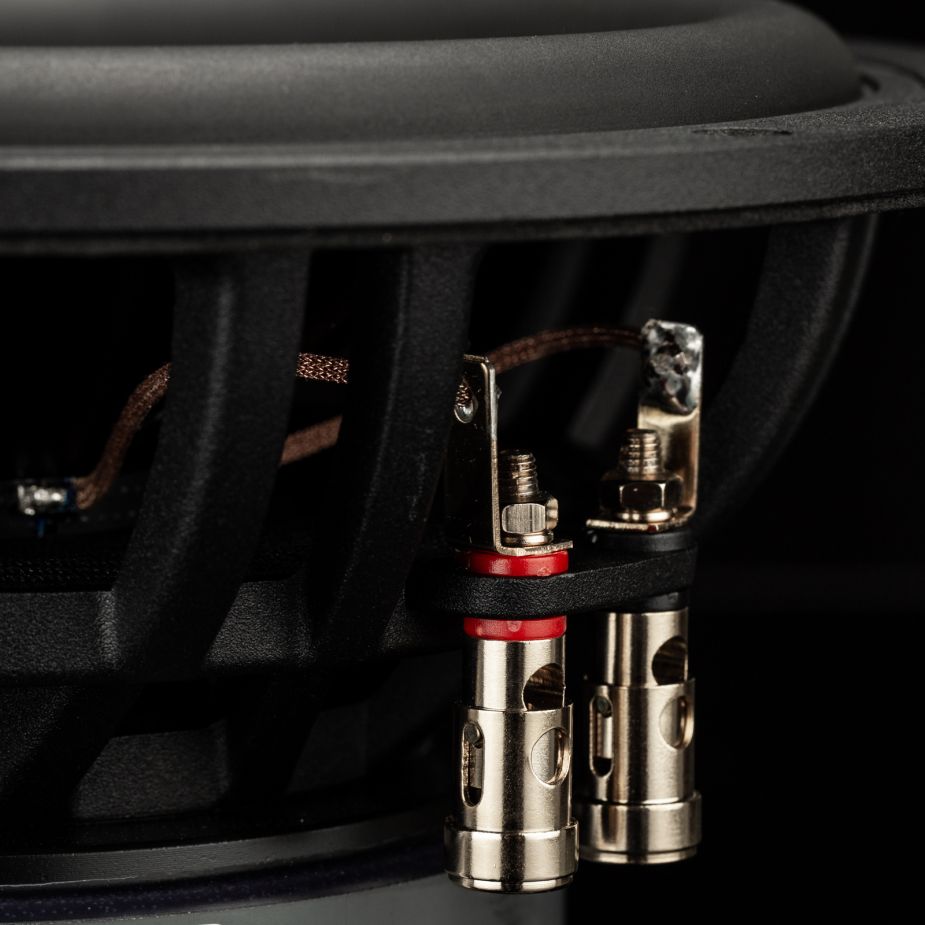 Primer plano de la conexión Gladen Zeta 08 con terminales rojos y negros, cables y una membrana de woofer de 8 pulgadas, ideal para unos graves potentes.