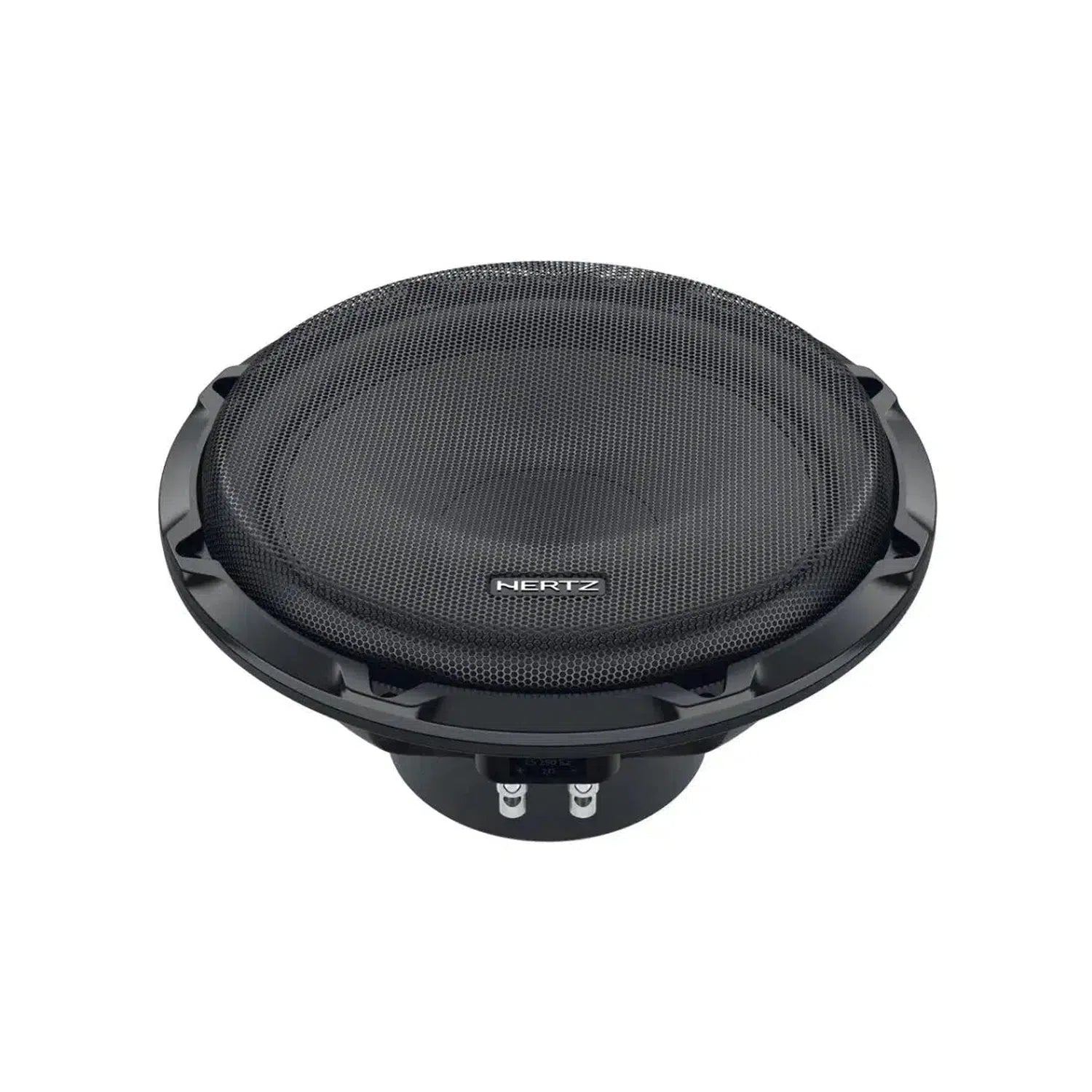 Hertz-Cento CS 250 S2 / S4-10" (25cm) Subwoofer-masori-kaufen