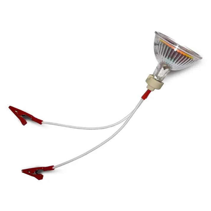 De Masori LW-50W-3.9A is een 50W halogeenlamp met twee draden die elk eindigen in een rode krokodillenklem.