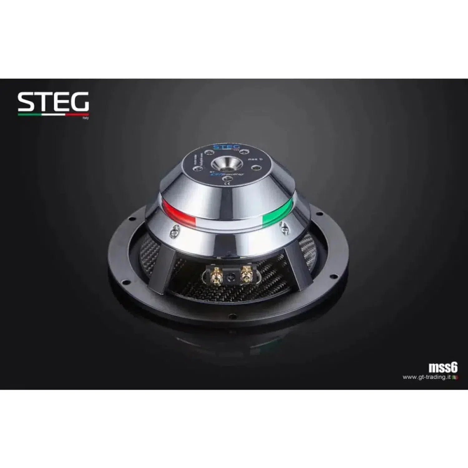 Steg-Masterstroke MSS6-6.5" (16,5cm) Tiefmitteltöner-masori-kaufen