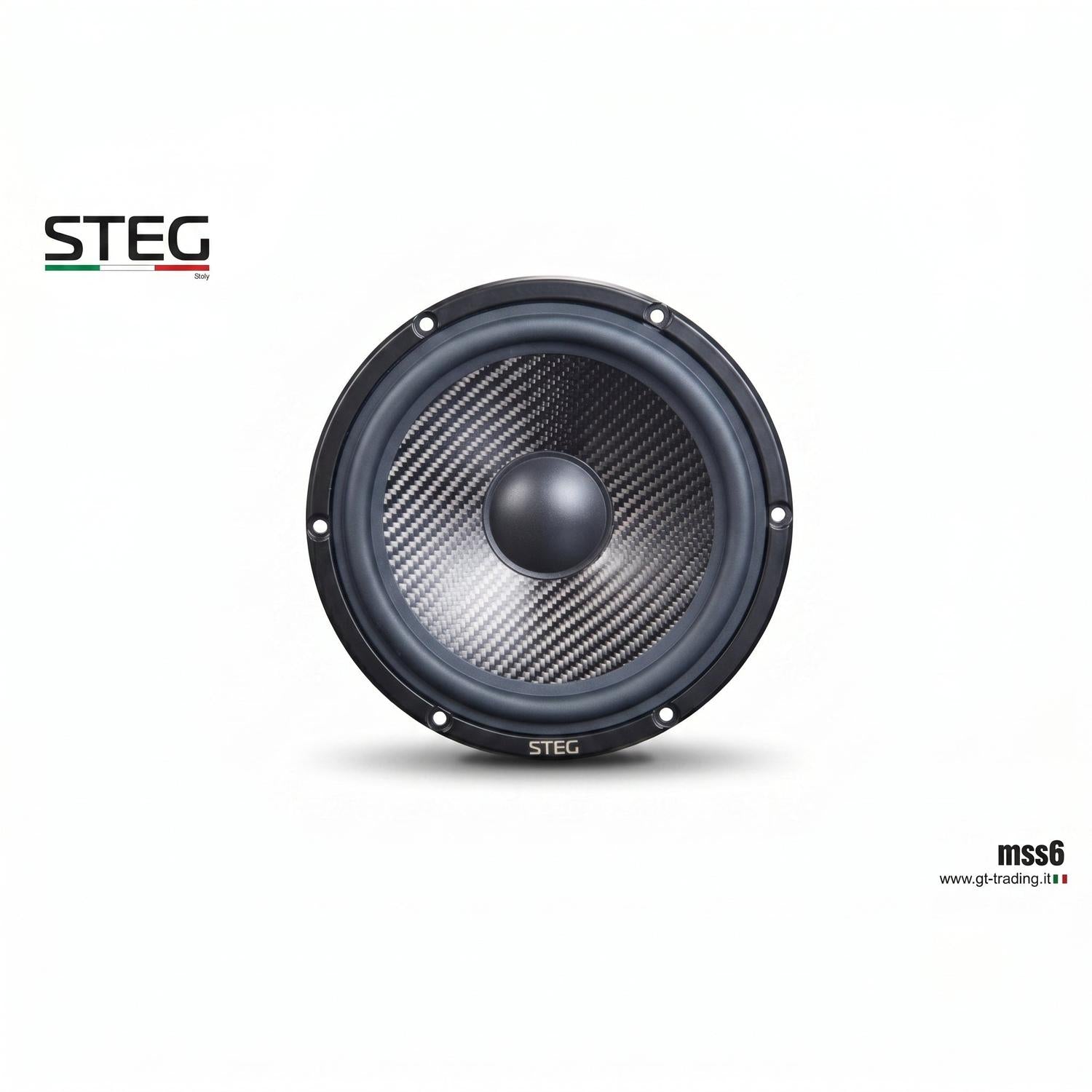 Steg-Masterstroke MSS6-6.5" (16,5cm) Tiefmitteltöner-masori-kaufen