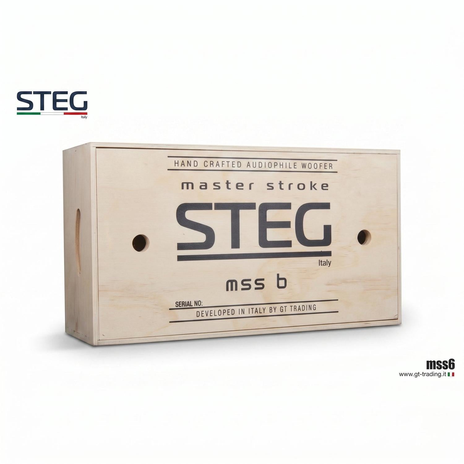 Steg-Masterstroke MSS6-6.5" (16,5cm) Tiefmitteltöner-masori-kaufen