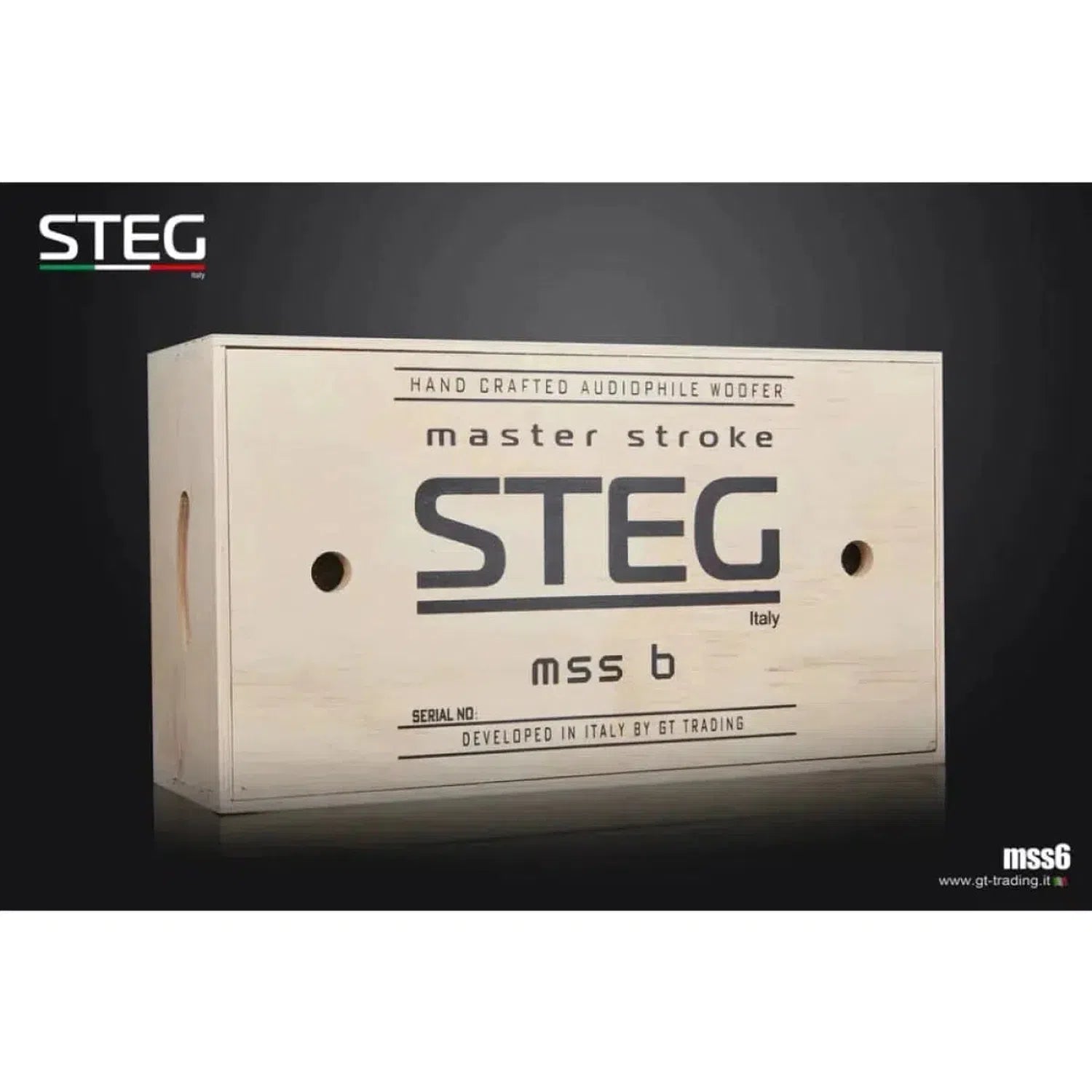 Steg-Masterstroke MSS6-6.5" (16,5cm) Tiefmitteltöner-masori-kaufen