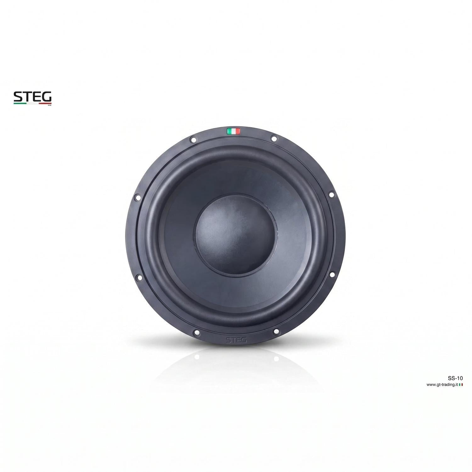 Steg-Masterstroke SS-10-10" (25cm) Subwoofer-masori-kaufen