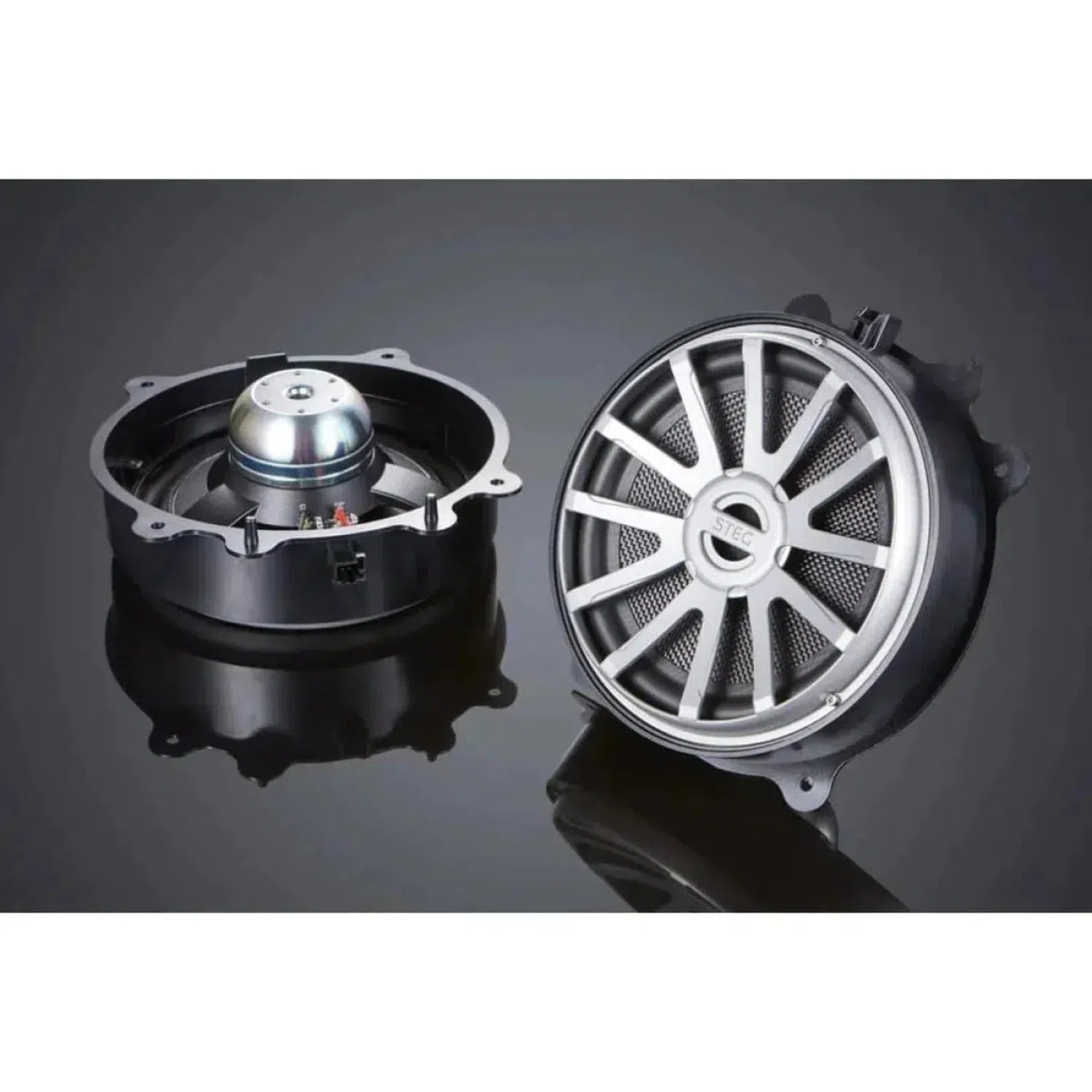 Steg-MT8 (B-Ware)-Tesla-Tiefmitteltöner-masori-kaufen