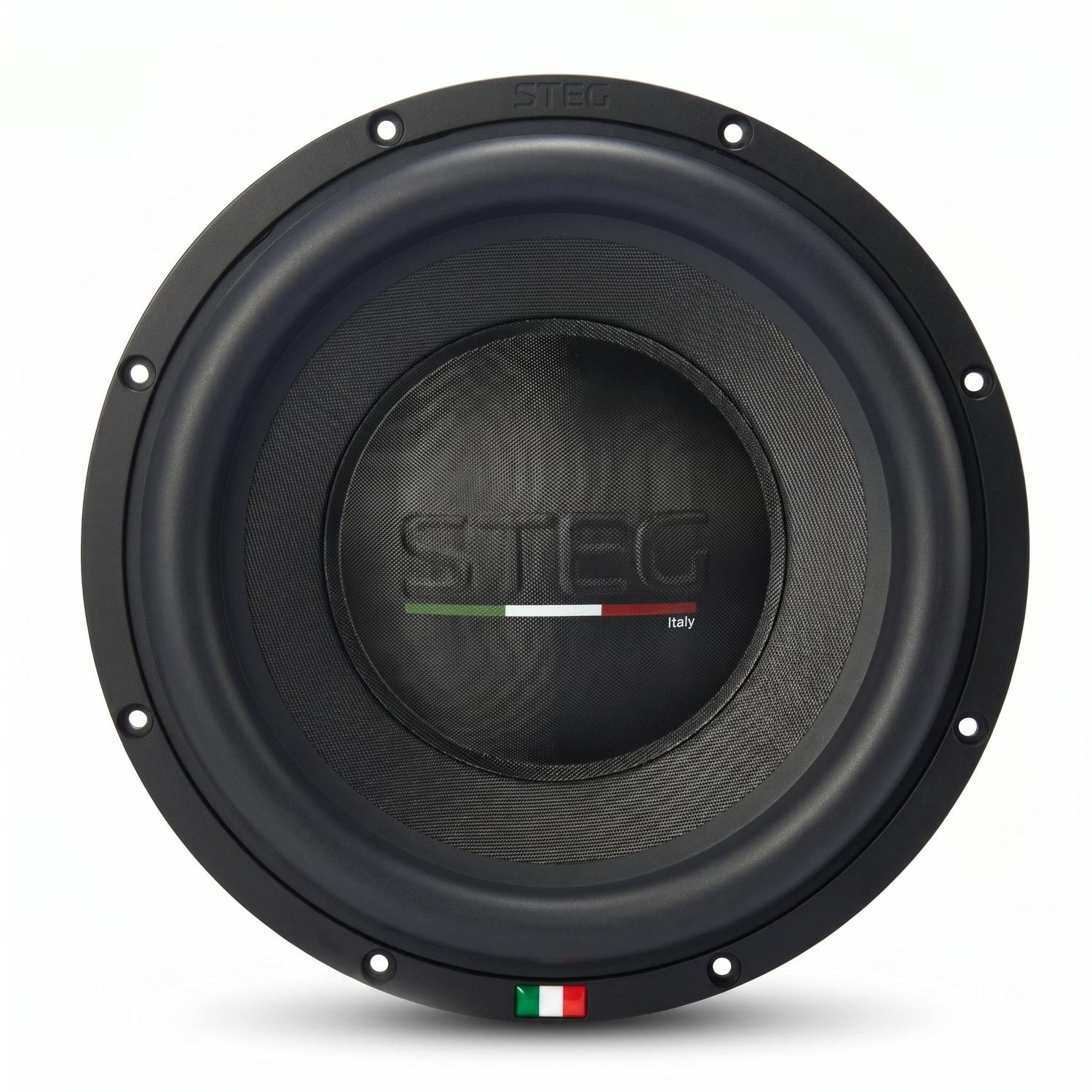 Steg-ST 10-10" (25cm) Subwoofer-masori-kaufen