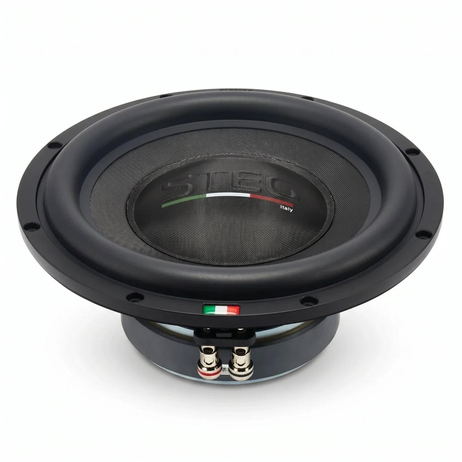 Steg-ST 10-10" (25cm) Subwoofer-masori-kaufen