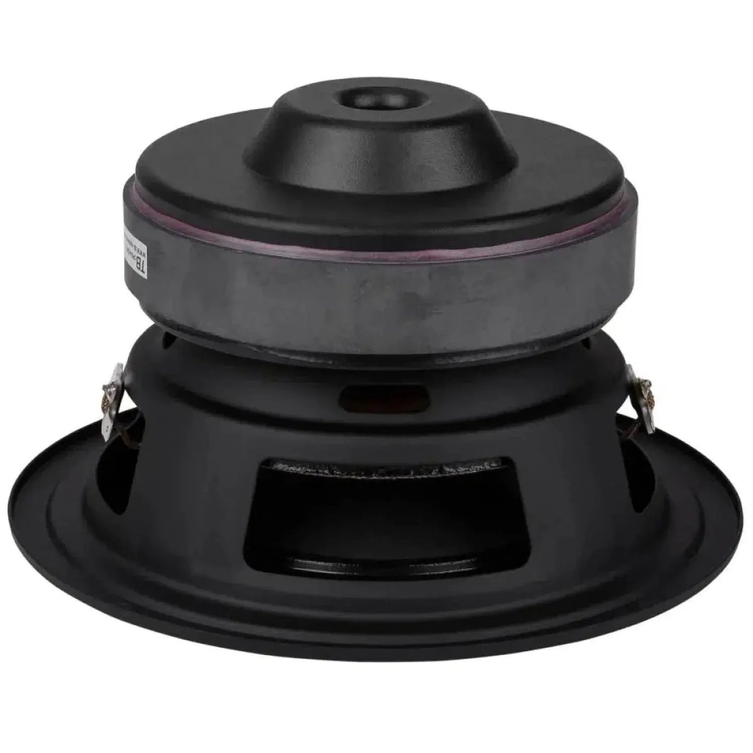 Tang Band-W6-1139SIF-6.5" (16,5cm) Subwoofer-masori-kaufen