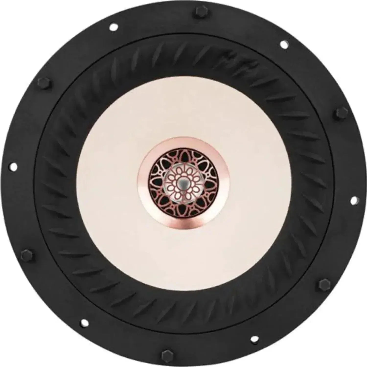 Tang Band-W8-2314-8" (20cm) Koaxial-Lautsprecher-masori-kaufen