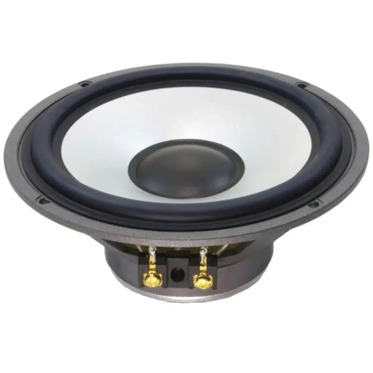 Andrian Audio-A-165 G-6.5" (16,5cm) bass-midrange driver-Masori.de