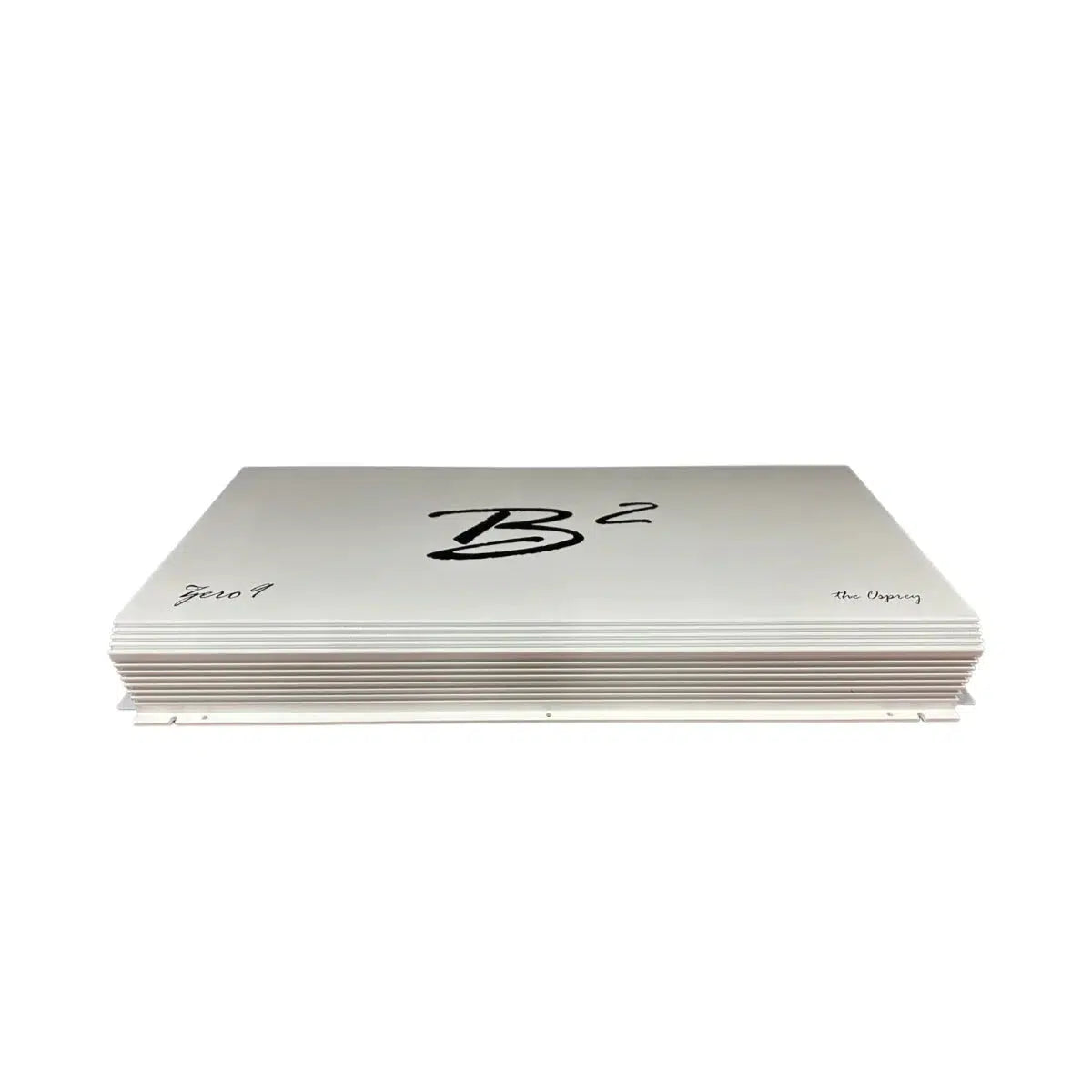 B2 Audio-Zero 9 (The Osprey)-1-channel amplifier-Masori.de