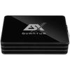 ESX-Quantum Q-ONE 24V-1-Channel Amplifier-Masori.de