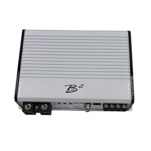 B2 Audio-Rage 2000-1-Channel Amplifier-Masori.de