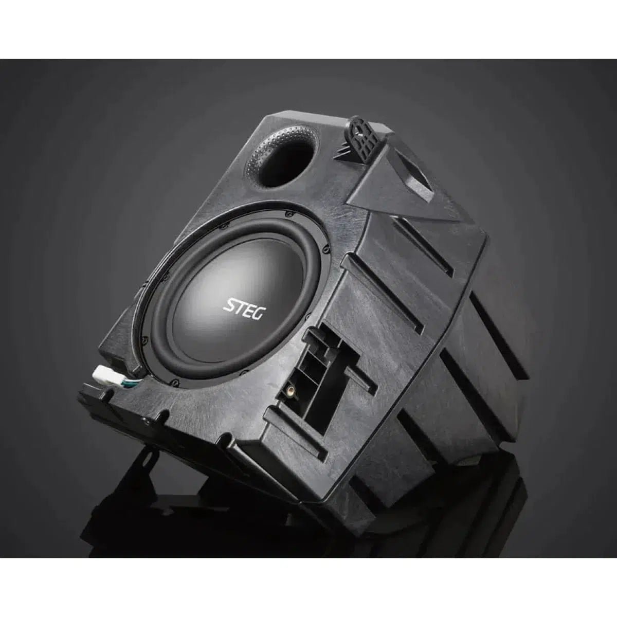 Bridge-MT9-Tesla-Subwoofer-Masori.de