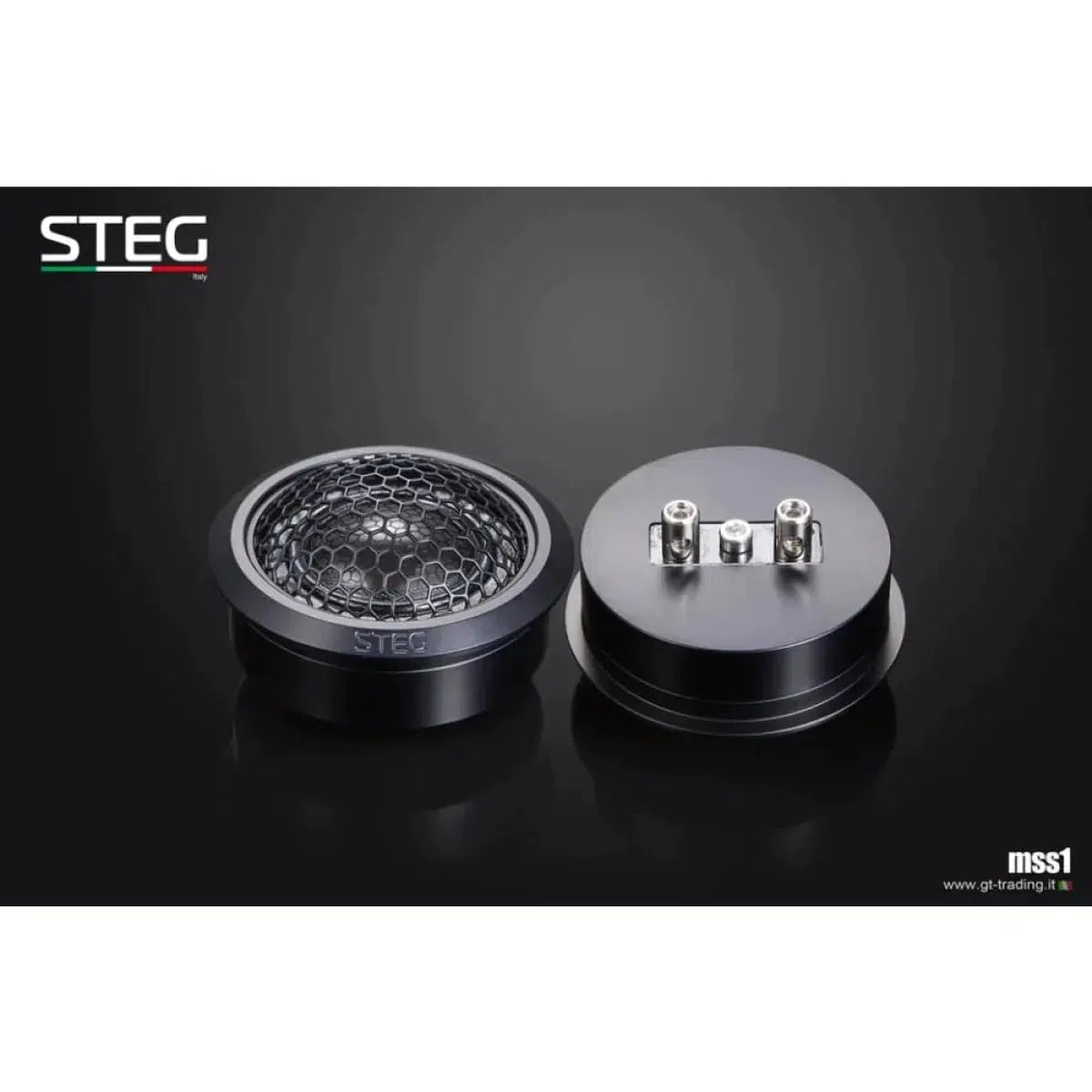 Bridge-Masterstroke MSS1-dome tweeter-Masori.de