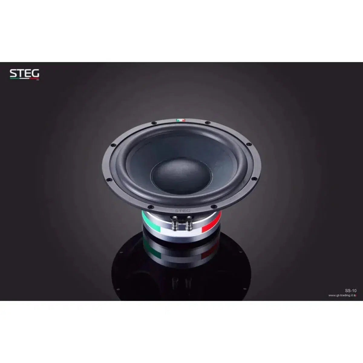 Bridge-Masterstroke SS-10-10" (25cm) Subwoofer-Masori.de