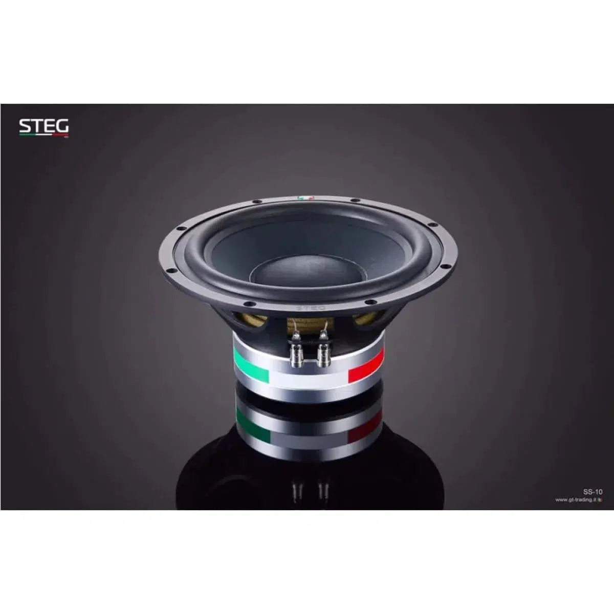 Bridge-Masterstroke SS-10-10" (25cm) Subwoofer-Masori.de