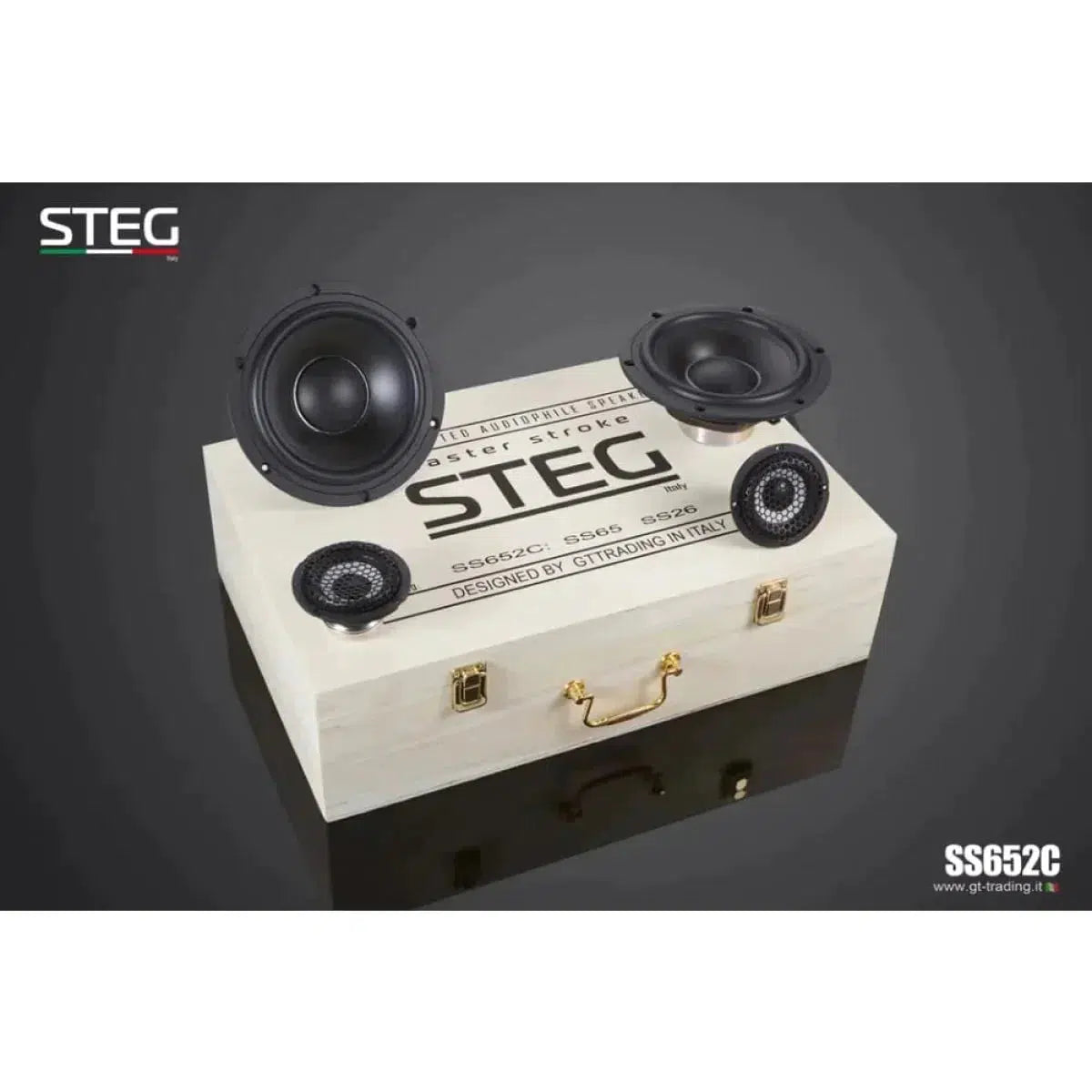 Bridge-Masterstroke SS-652C-6.5" (16,5cm) Speaker Set-Masori.de