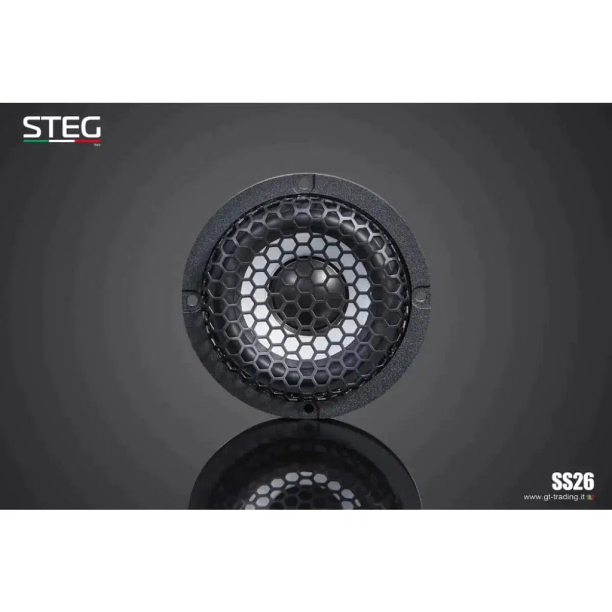 Bridge-Masterstroke SS-652C-6.5" (16,5cm) Speaker Set-Masori.de