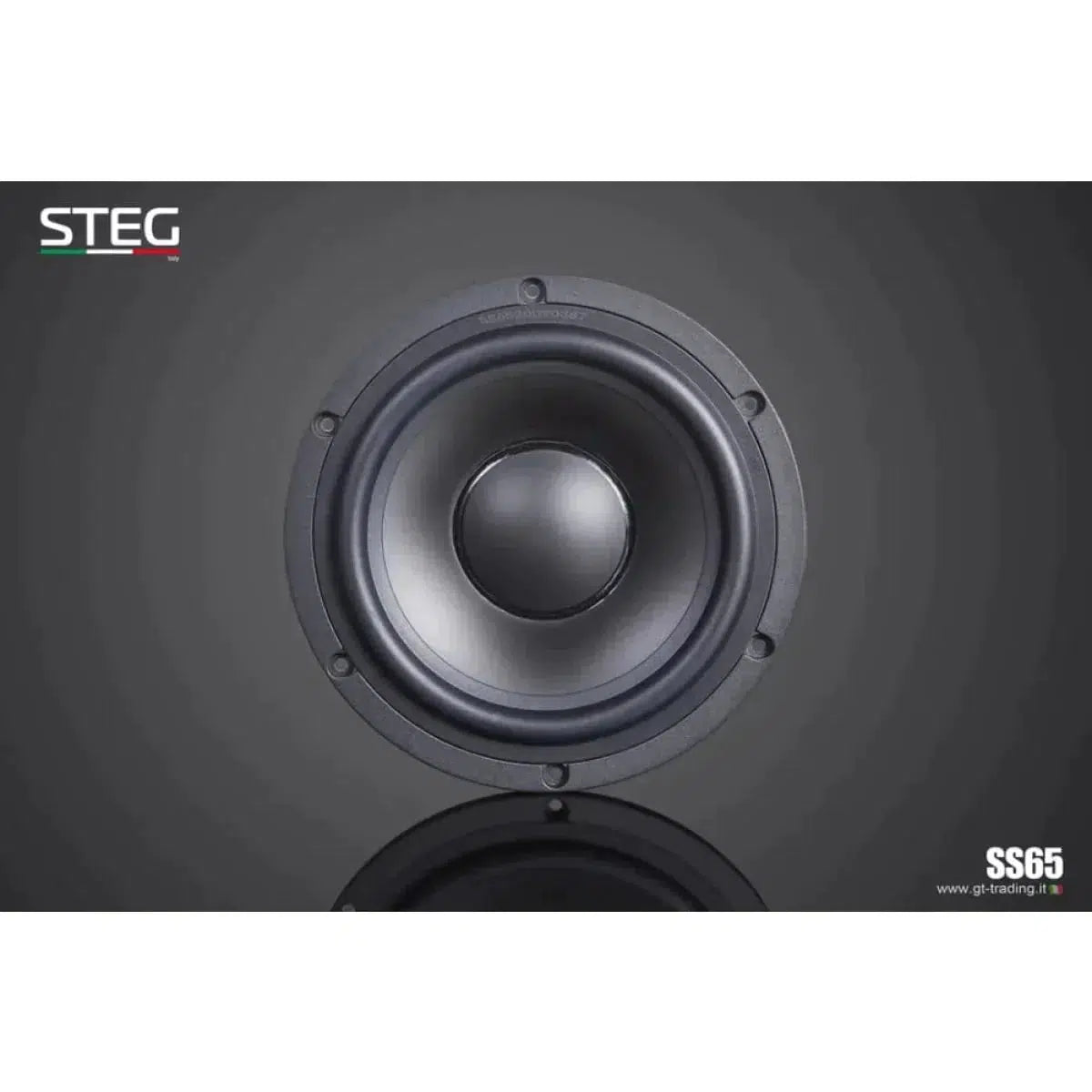 Bridge-Masterstroke SS-652C-6.5" (16,5cm) Speaker Set-Masori.de