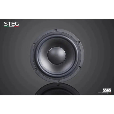 Bridge-Masterstroke SS-652C-6.5" (16,5cm) Speaker Set-Masori.de