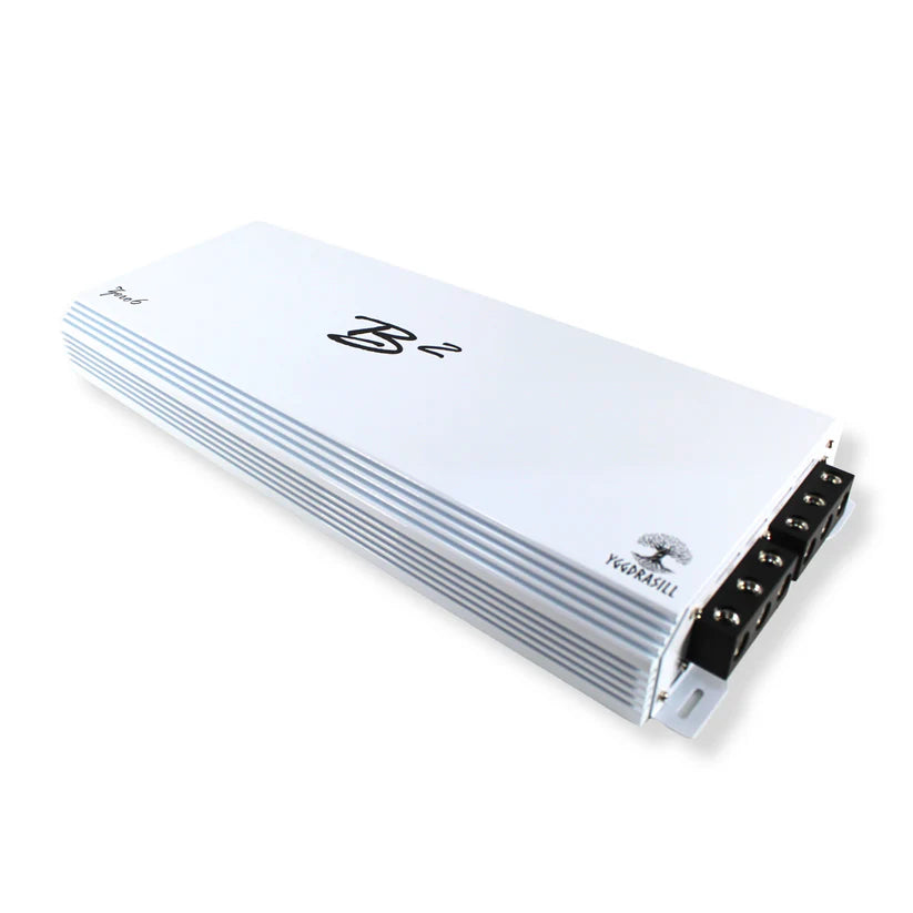 B2 Audio-Zero 6 (Yggdrasil)-1-channel amplifier-Masori.de