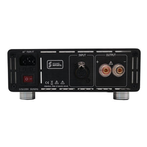 Hypex-HY250-1CH-1-Channel Amplifier-Masori.de