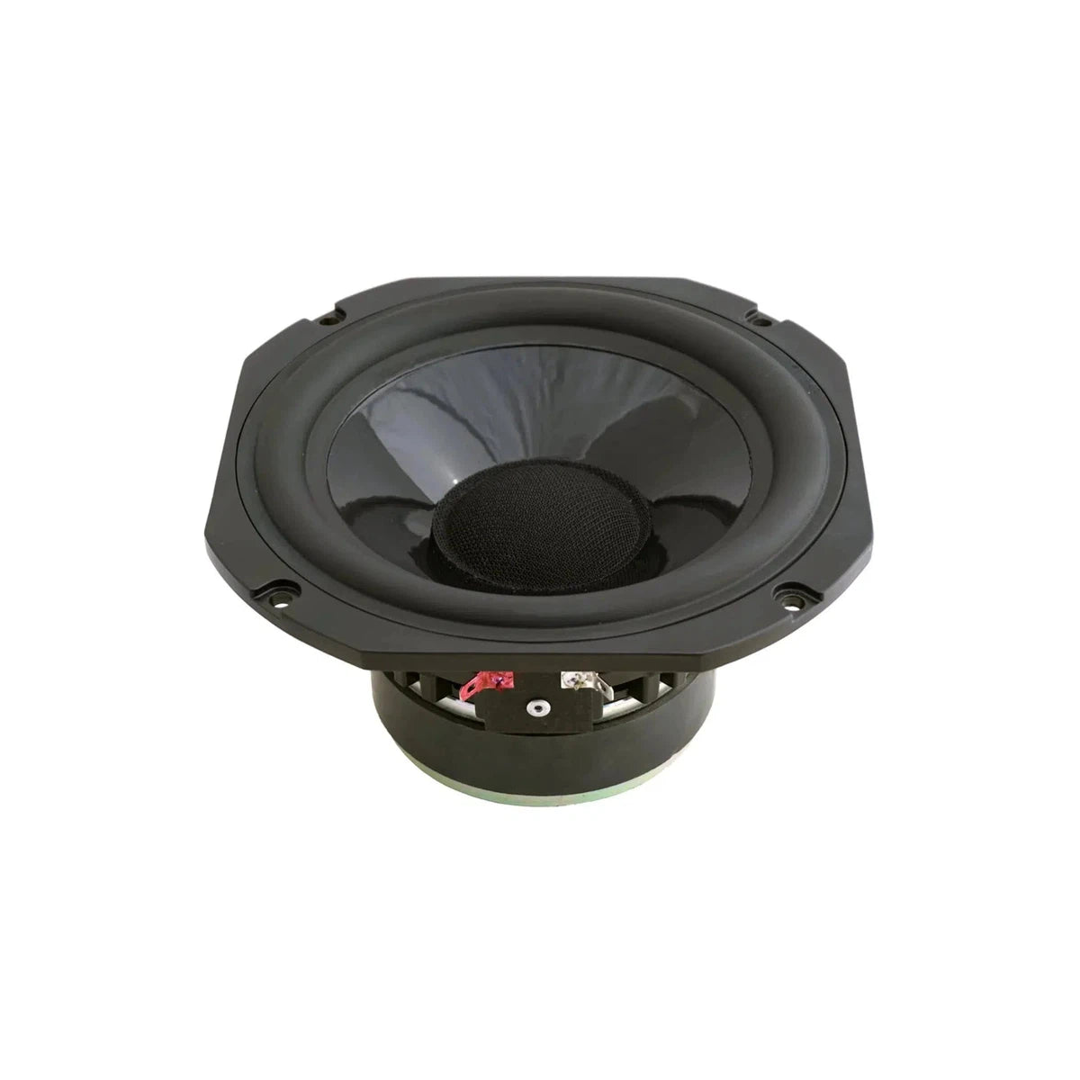 Volt Loudspeakers-BM1651-6.5" (16,5cm) bass-midrange driver-Masori.de