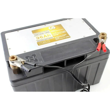 CS-Batteries-XF3 Cargador automático de litio LiFePO4 3A-Charger-Masori.de