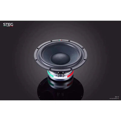 Puente-Masterstroke SS-10-10" (25cm) Subwoofer-Masori.de