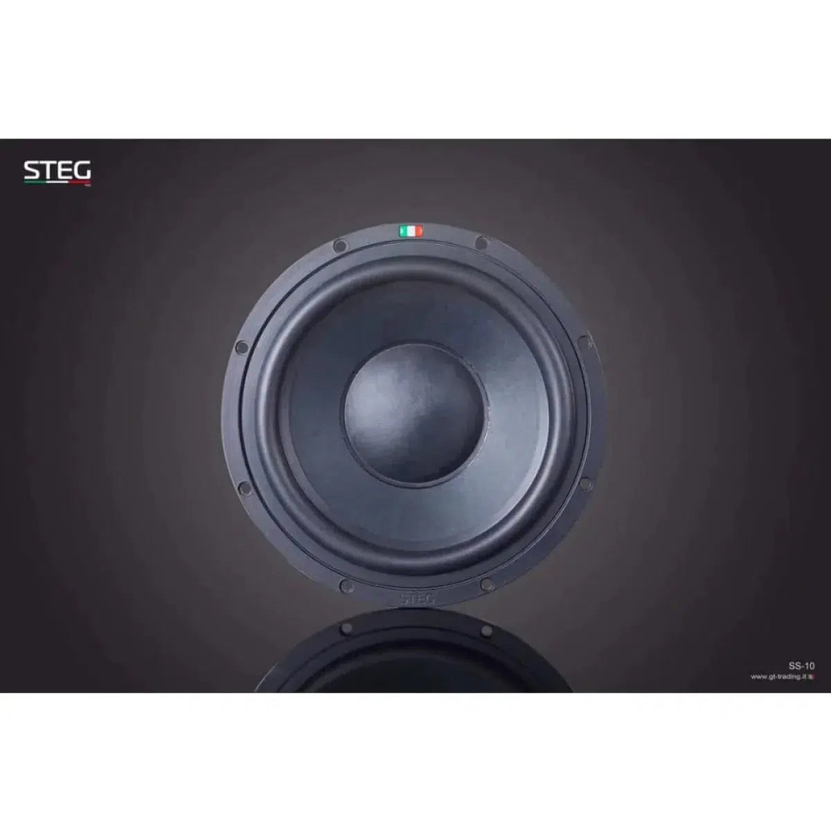 Puente-Masterstroke SS-10-10" (25cm) Subwoofer-Masori.de