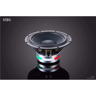 Puente-Masterstroke SS-10-10" (25cm) Subwoofer-Masori.de